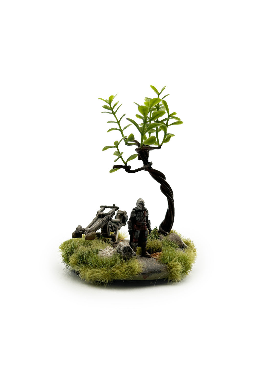 Mando in Forest