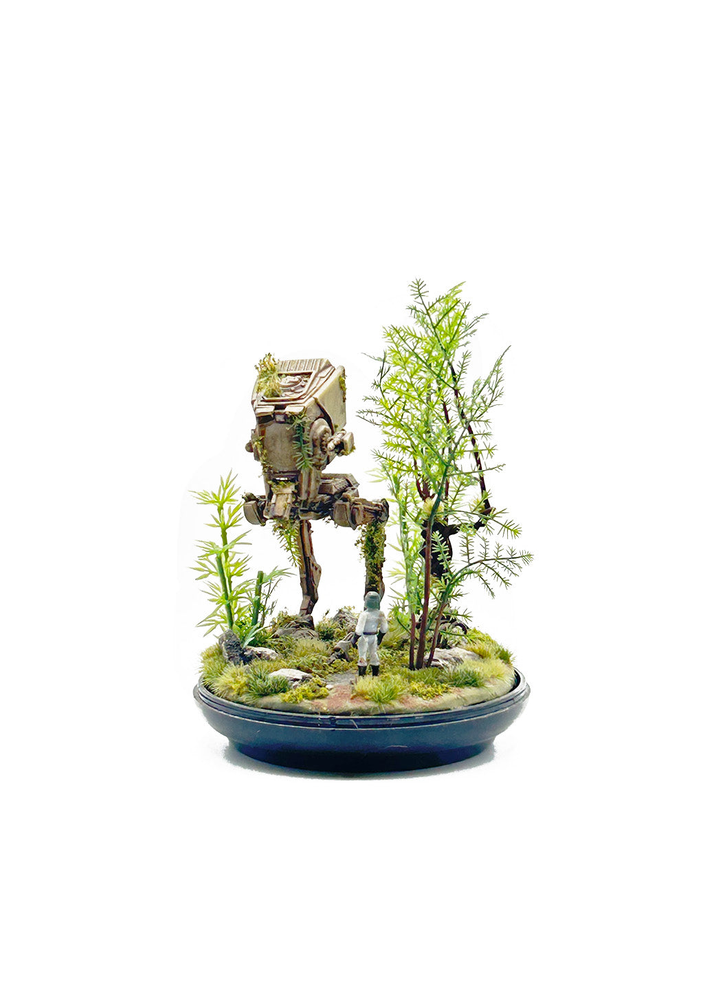 Endor Ruins