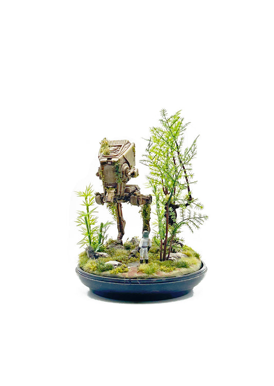 Endor Ruins