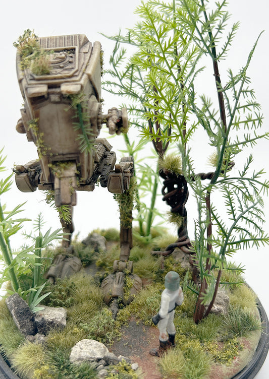 Endor Ruins