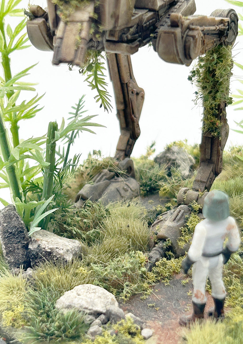 Endor Ruins