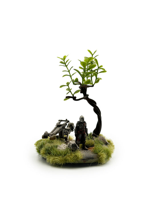 Mando in Forest