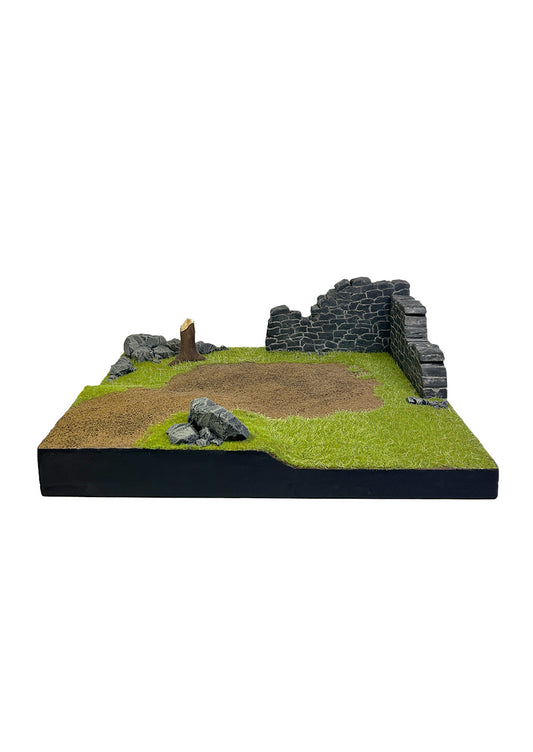 Field and Broken Wall